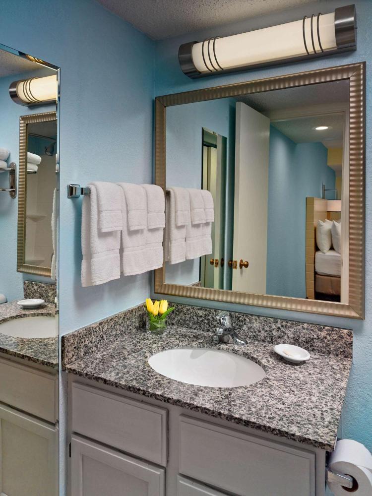 King Mobility Hearing Accessible interior